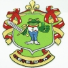 Custom iron on patches&nbsp;frog trophy